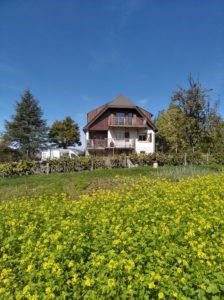 Agrandir l'image 1