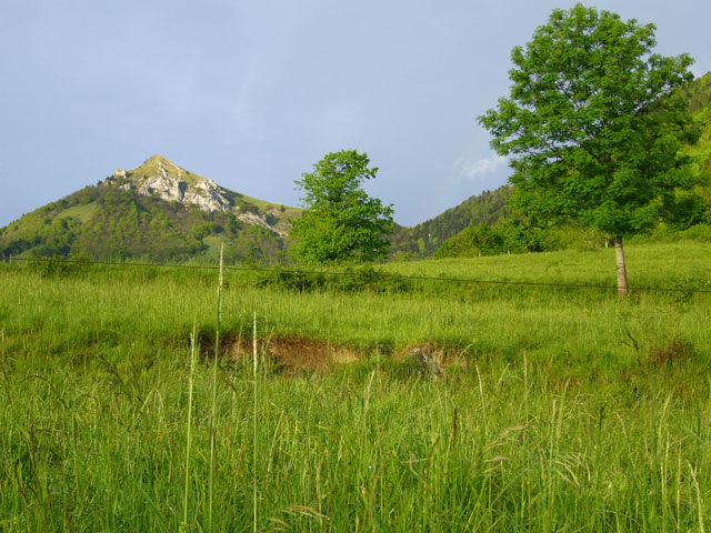 Agrandir l'image 1