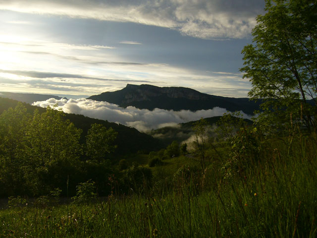 Agrandir l'image 3