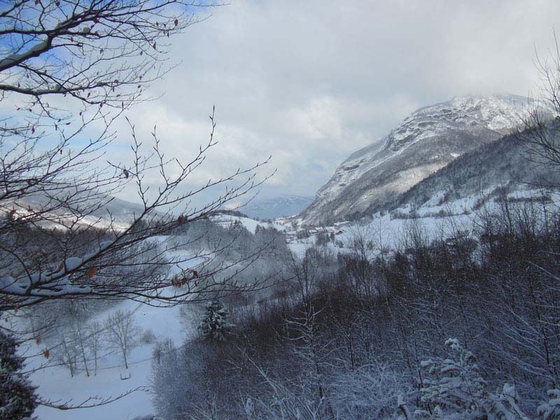 Agrandir l'image 4