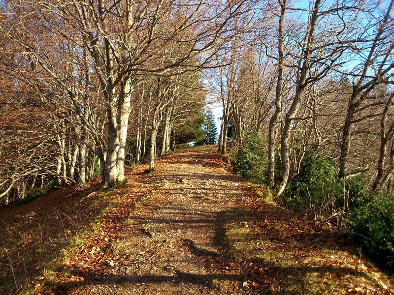 Agrandir l'image 4