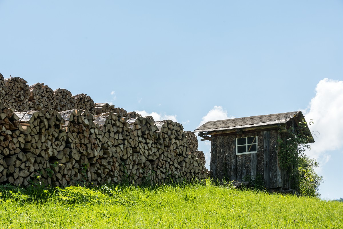 Bois coupé avec une cabane en bois dans un champ
