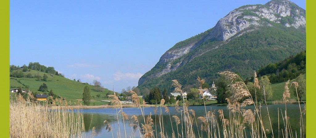 Agrandir l'image 5